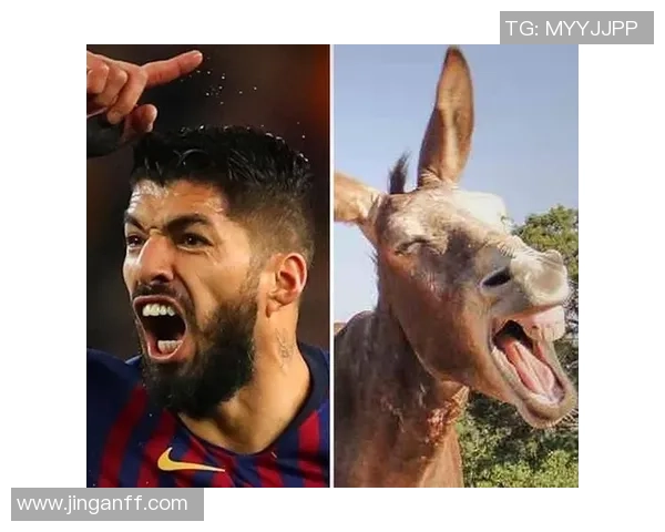 足球界十大驴脸球星排行揭秘 他们的面部表情引发热议